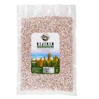 Sorghum
